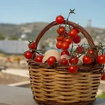 아파트 Stefanos